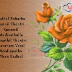 Tamil True Love Sms In English With Pictures