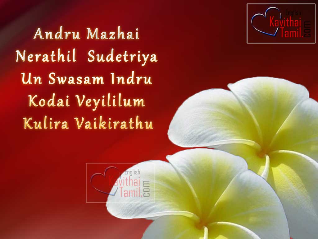 Lovely New Love Romantic Tamil Love Poem Lines In English Words For Free Download