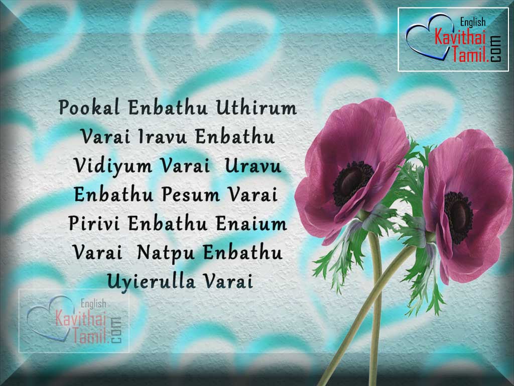 Cute True Friendship Quotes In Tamil About Uyirulla Varai Natpu With High Quality Images For Download