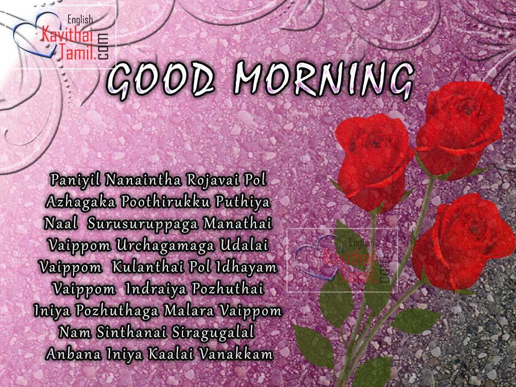 Anbana Iniya Kaalai Vanakam Super Tamil Good Morning Sms For All With Lovely Rose Pictures Free Download