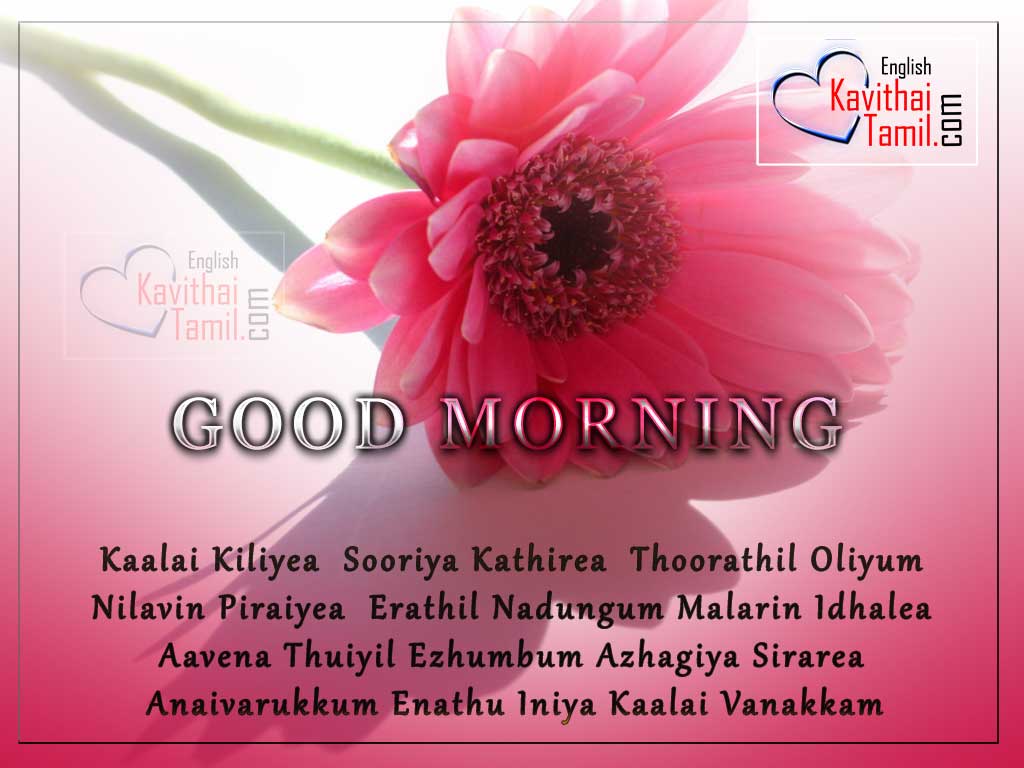 428 Good Morning Tamil Kavithai English Kavithaitamil Com