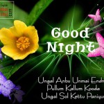 New Best Good Night Tamil Greetings Pictures