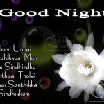 Beautiful Good Night Tamil Wishes Greetings